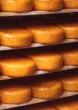 Gouds Gouda